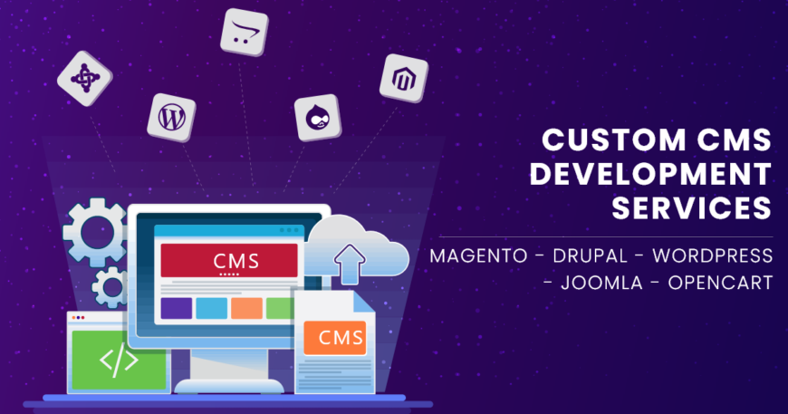 Custom-CMS-Development-Services