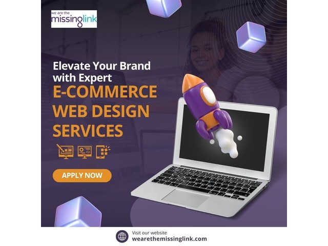 Elevate Your Brand with Expert E-Commerce Web Design Services